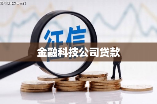 莿桐金融科技公司贷款