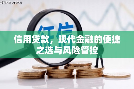 莿桐信用贷款，现代金融的便捷之选与风险管控