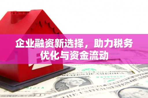 莿桐企业融资新选择，助力税务优化与资金流动