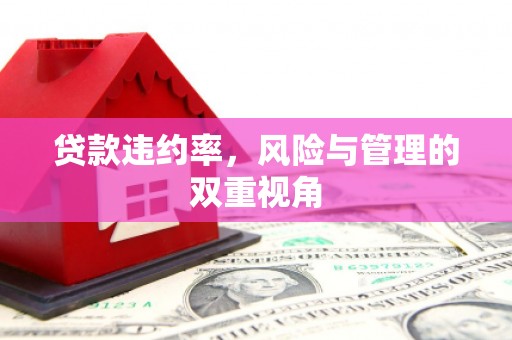 莿桐贷款违约率，风险与管理的双重视角
