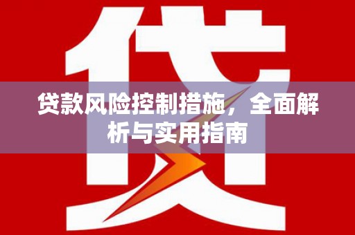 莿桐贷款风险控制措施，全面解析与实用指南