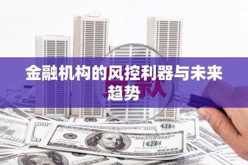 莿桐金融机构的风控利器与未来趋势