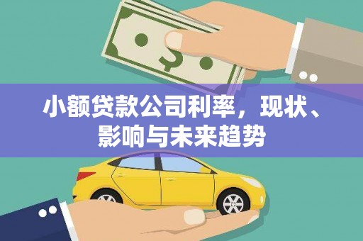 莿桐小额贷款公司利率，现状、影响与未来趋势