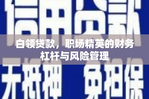 莿桐白领贷款，职场精英的财务杠杆与风险管理