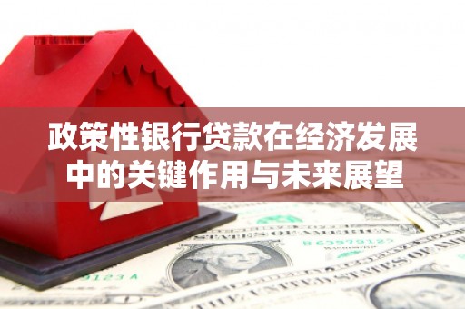 莿桐政策性银行贷款在经济发展中的关键作用与未来展望
