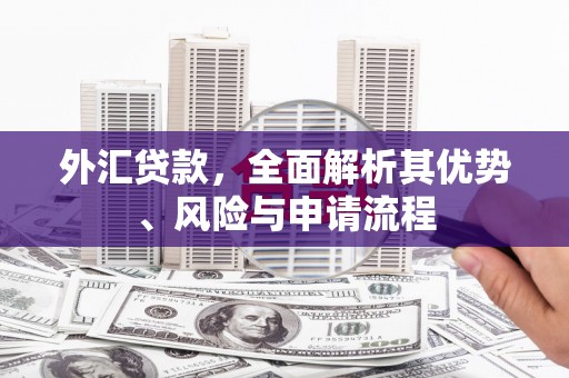 莿桐外汇贷款，全面解析其优势、风险与申请流程