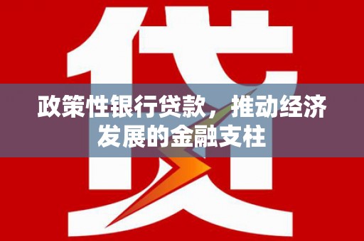 莿桐政策性银行贷款，推动经济发展的金融支柱