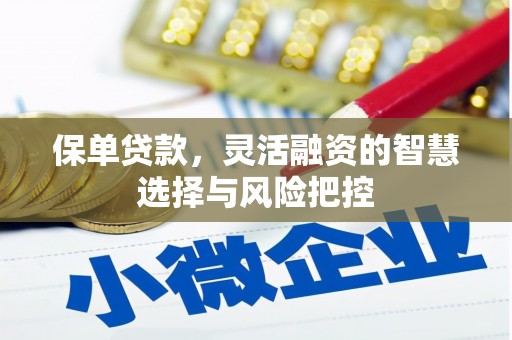 莿桐保单贷款，灵活融资的智慧选择与风险把控