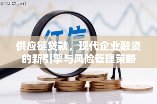 莿桐供应链贷款，现代企业融资的新引擎与风险管理策略