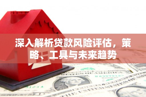 莿桐深入解析贷款风险评估，策略、工具与未来趋势