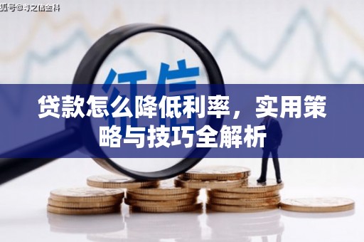 莿桐贷款怎么降低利率，实用策略与技巧全解析