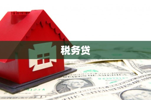莿桐税务贷