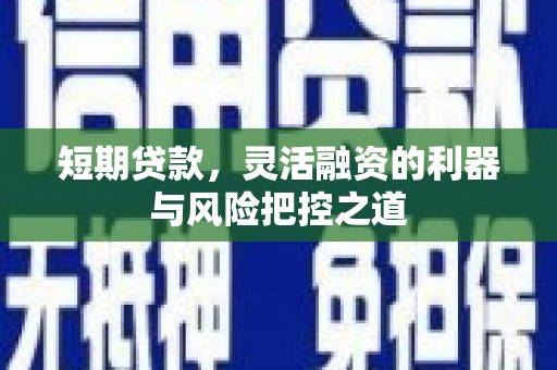 莿桐短期贷款，灵活融资的利器与风险把控之道