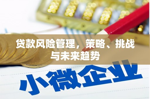 莿桐贷款风险管理，策略、挑战与未来趋势