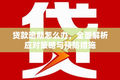 莿桐贷款逾期怎么办，全面解析应对策略与预防措施