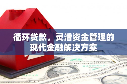 莿桐循环贷款，灵活资金管理的现代金融解决方案