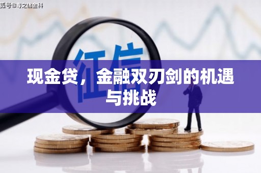 莿桐现金贷，金融双刃剑的机遇与挑战