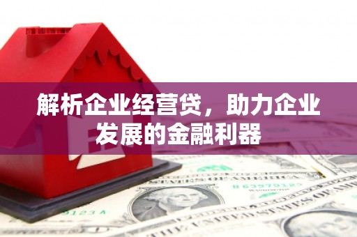 莿桐解析企业经营贷，助力企业发展的金融利器
