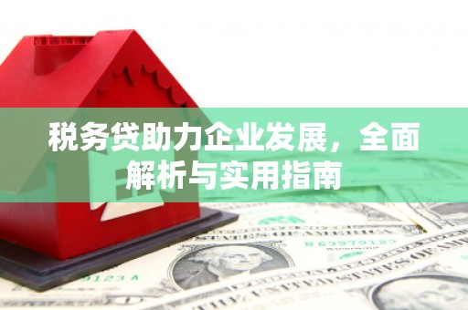 莿桐税务贷助力企业发展，全面解析与实用指南