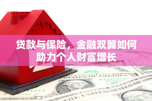 莿桐贷款与保险，金融双翼如何助力个人财富增长