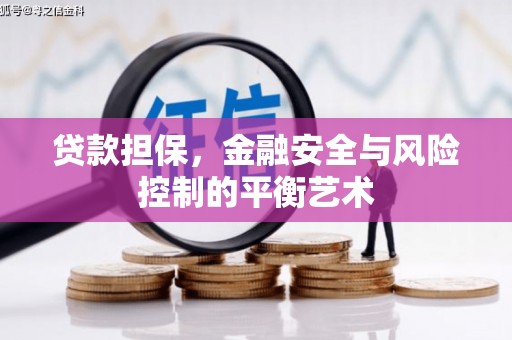 莿桐贷款担保，金融安全与风险控制的平衡艺术