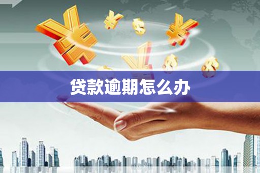 莿桐贷款逾期怎么办