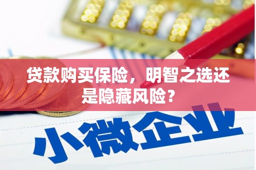 莿桐贷款购买保险，明智之选还是隐藏风险？