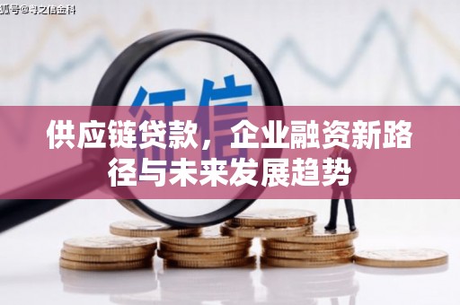 莿桐供应链贷款，企业融资新路径与未来发展趋势