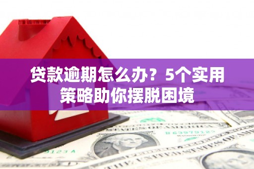 莿桐贷款逾期怎么办？5个实用策略助你摆脱困境