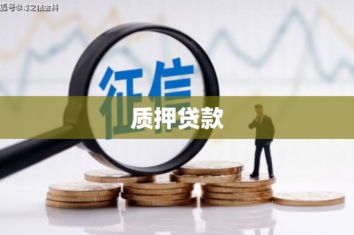 莿桐质押贷款