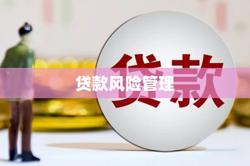 莿桐贷款风险管理