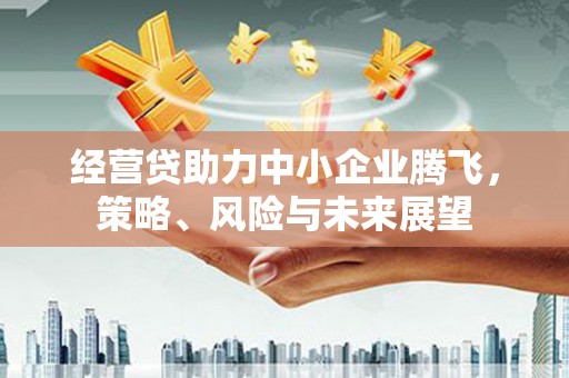 莿桐经营贷助力中小企业腾飞，策略、风险与未来展望
