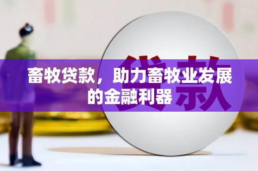 莿桐畜牧贷款，助力畜牧业发展的金融利器