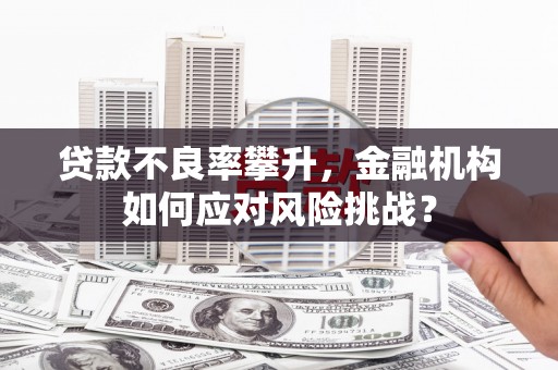 莿桐贷款不良率攀升，金融机构如何应对风险挑战？