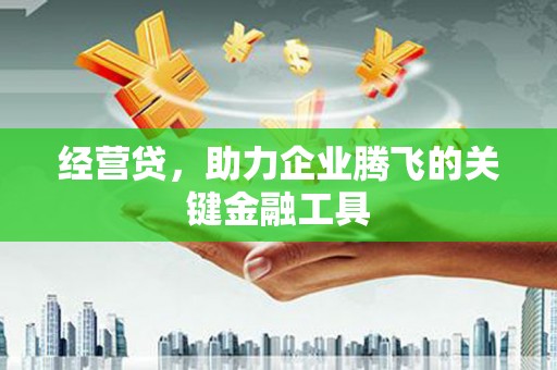 莿桐经营贷，助力企业腾飞的关键金融工具