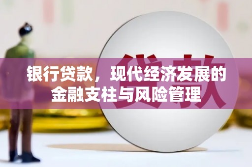 莿桐银行贷款，现代经济发展的金融支柱与风险管理