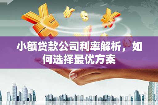 莿桐小额贷款公司利率解析，如何选择最优方案