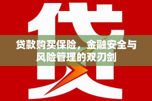 莿桐贷款购买保险，金融安全与风险管理的双刃剑