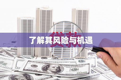 莿桐了解其风险与机遇