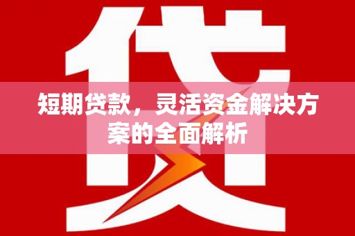 莿桐短期贷款，灵活资金解决方案的全面解析