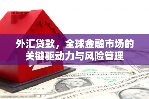 莿桐外汇贷款，全球金融市场的关键驱动力与风险管理