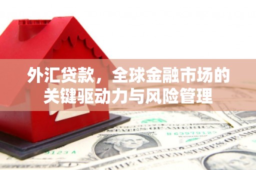 莿桐外汇贷款，全球金融市场的关键驱动力与风险管理