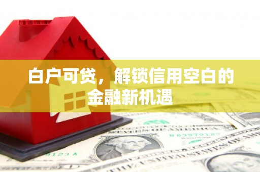 莿桐白户可贷，解锁信用空白的金融新机遇