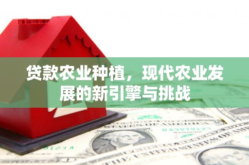 莿桐贷款农业种植，现代农业发展的新引擎与挑战