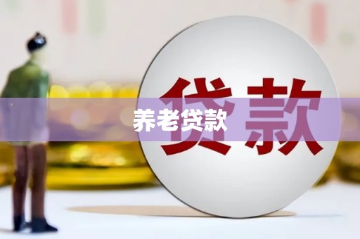 莿桐养老贷款