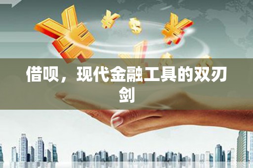 莿桐借呗，现代金融工具的双刃剑