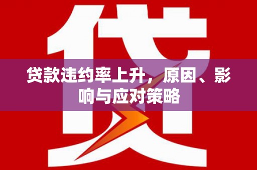 莿桐贷款违约率上升，原因、影响与应对策略