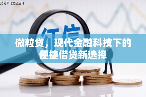 莿桐微粒贷，现代金融科技下的便捷借贷新选择