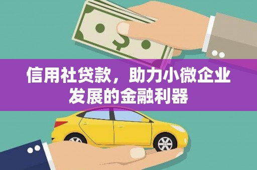 莿桐信用社贷款，助力小微企业发展的金融利器