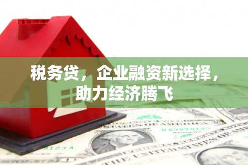 莿桐税务贷，企业融资新选择，助力经济腾飞